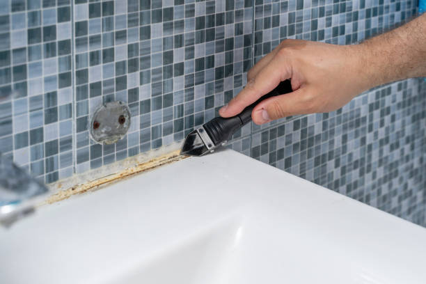 Best Mold Remediation for Specific Building Types in Third Lake, IL