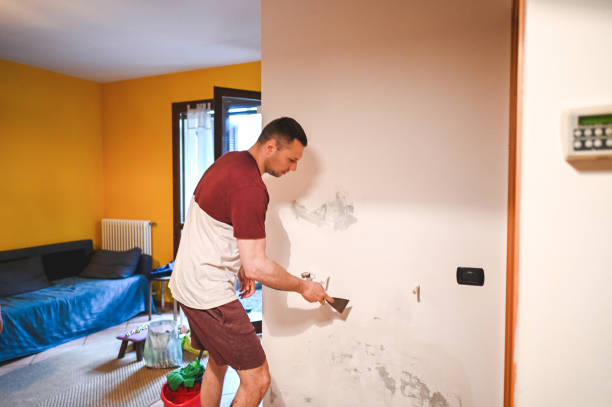 Best Kitchen Mold Remediation in Third Lake, IL